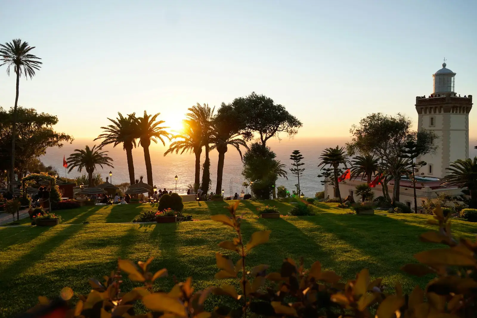 a grassy area with palm trees and a lighthouse in the background