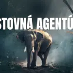 cestovná agentúra