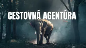 cestovná agentúra