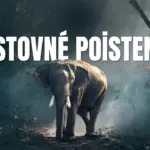 cestovné poistenie