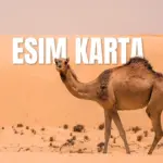 eSIM karta