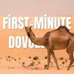 first-minute dovolenka