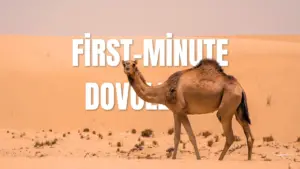 first-minute dovolenka