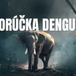 horúčka dengue