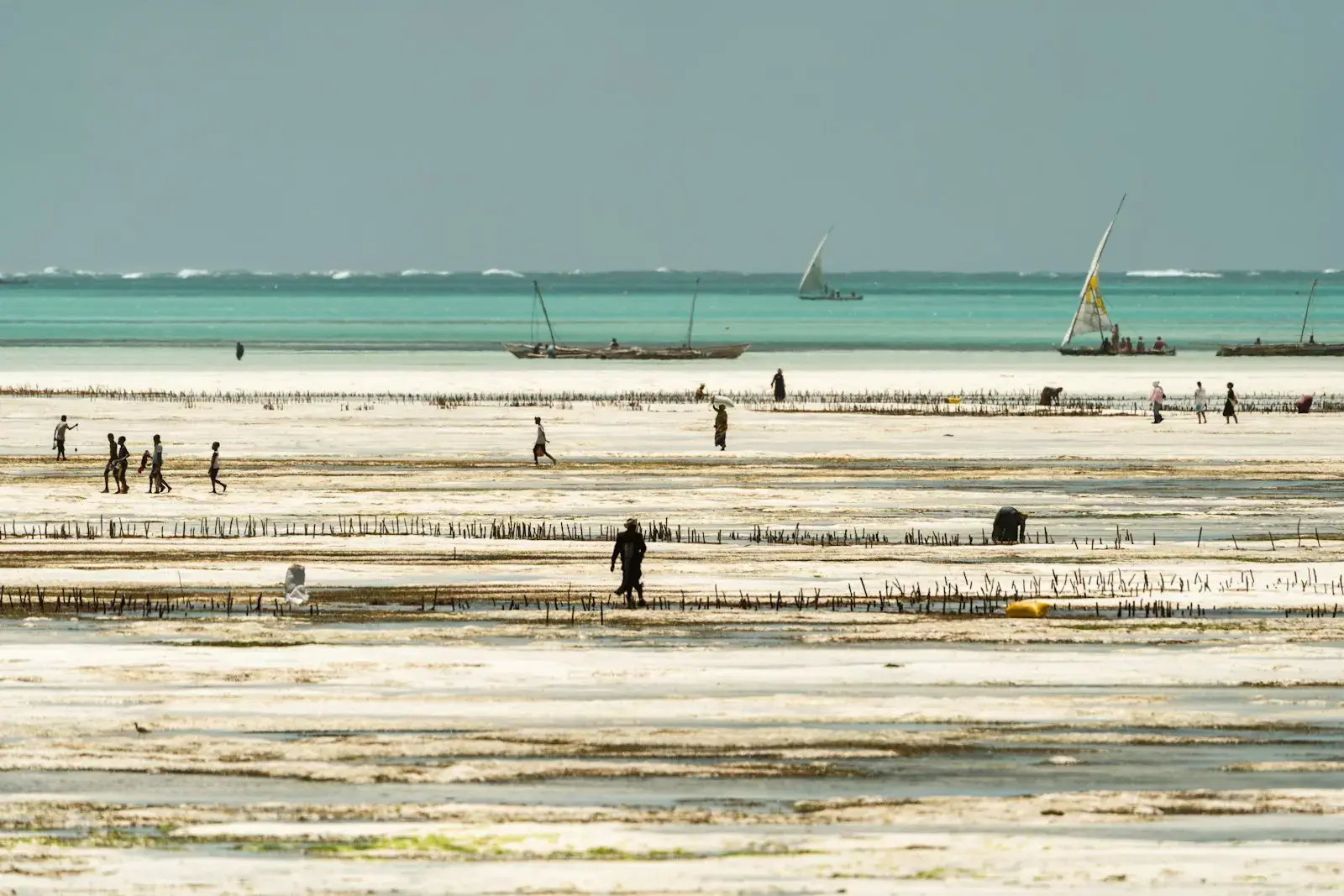 Photo by Aron Marinelli a group of people standing on top of a sandy beach