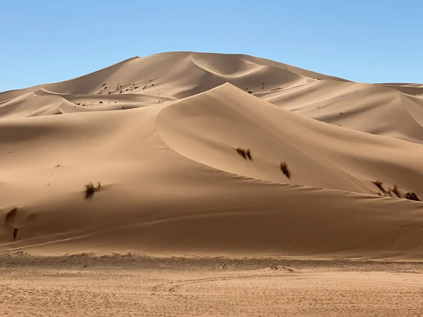 Photo by Jillian Amatt - Artistic Voyages a large group of sand dunes in the desert