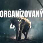 organizovaný zájazd
