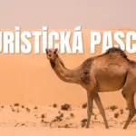 turistická pasca