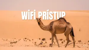 wifi prístup