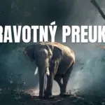 zdravotný preukaz