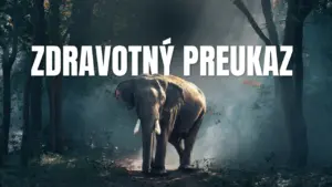 zdravotný preukaz