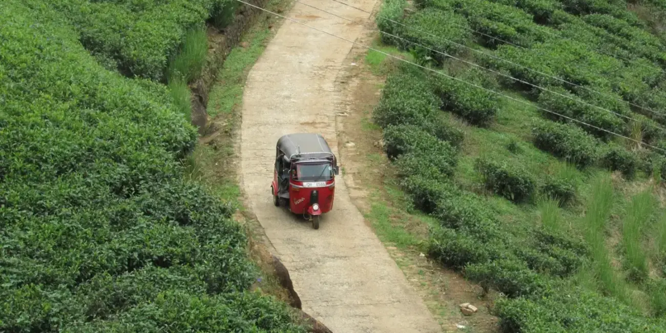 Srí Lanka dovolenka bez cestovky