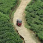 Srí Lanka dovolenka bez cestovky