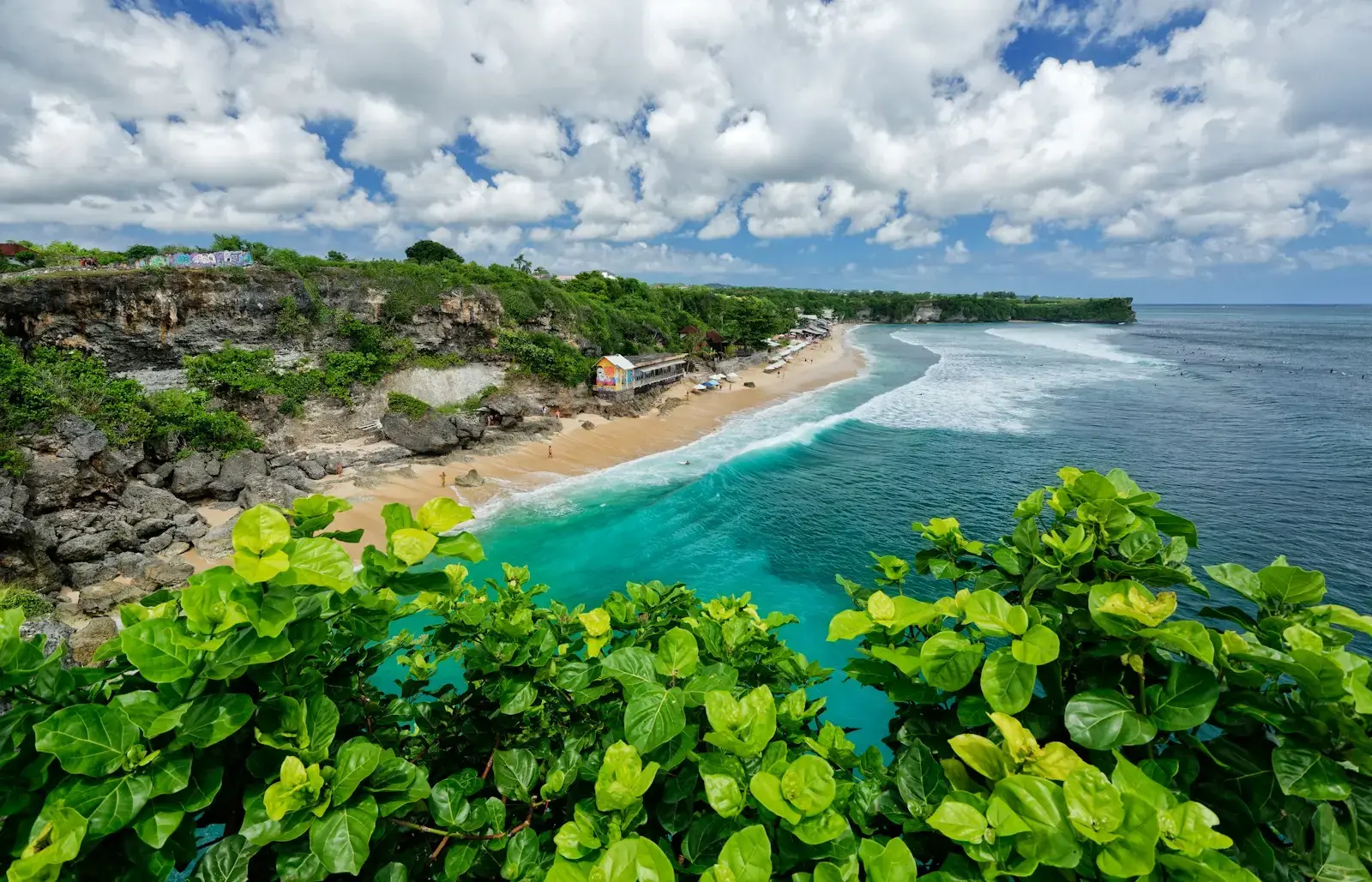 Ocean meets beautiful sandy beach and lush greenery.