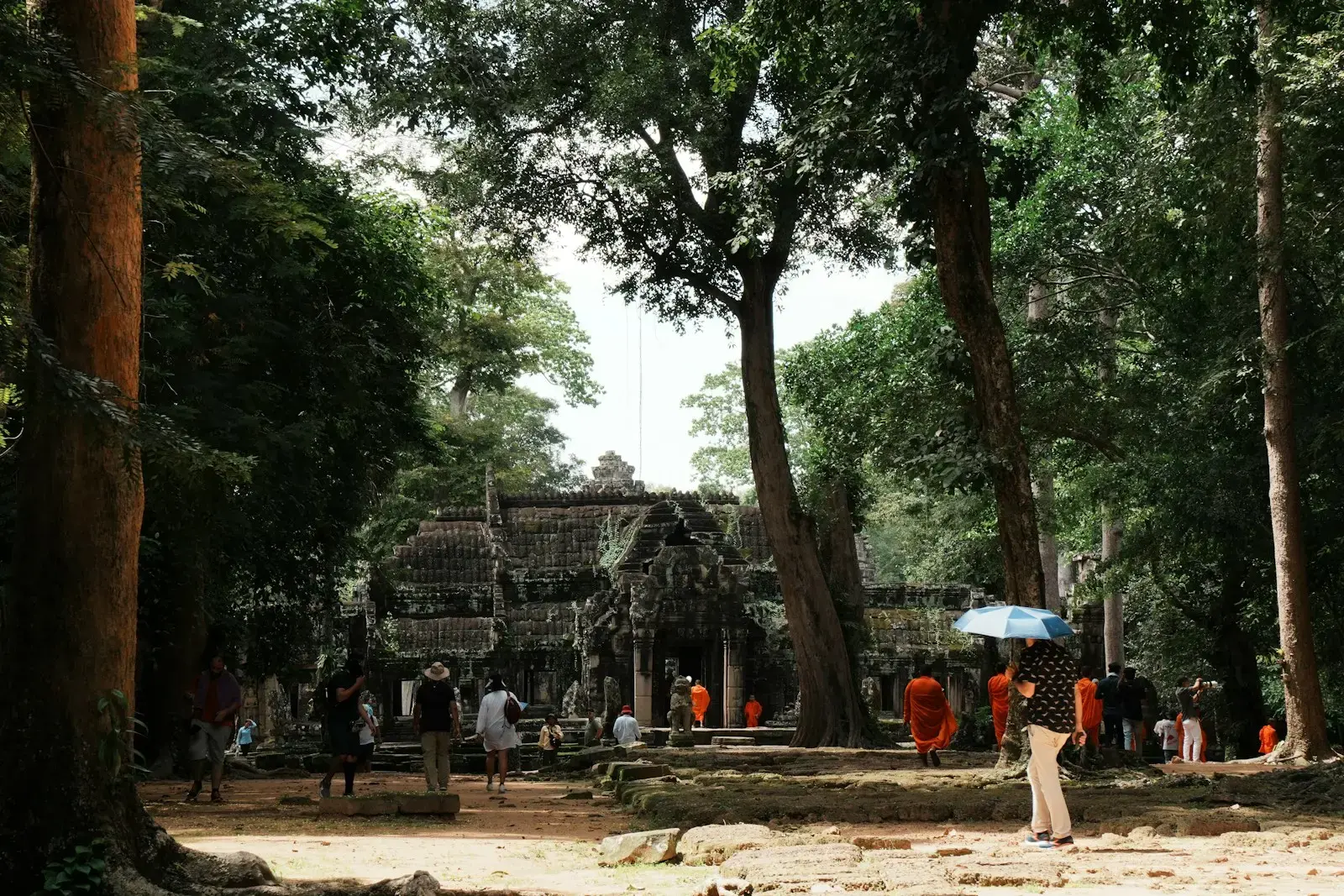 Photo by Kimms Ancient temple ruins surrounded by lush green trees
