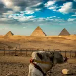 Najlepšie destinácie v Egypte