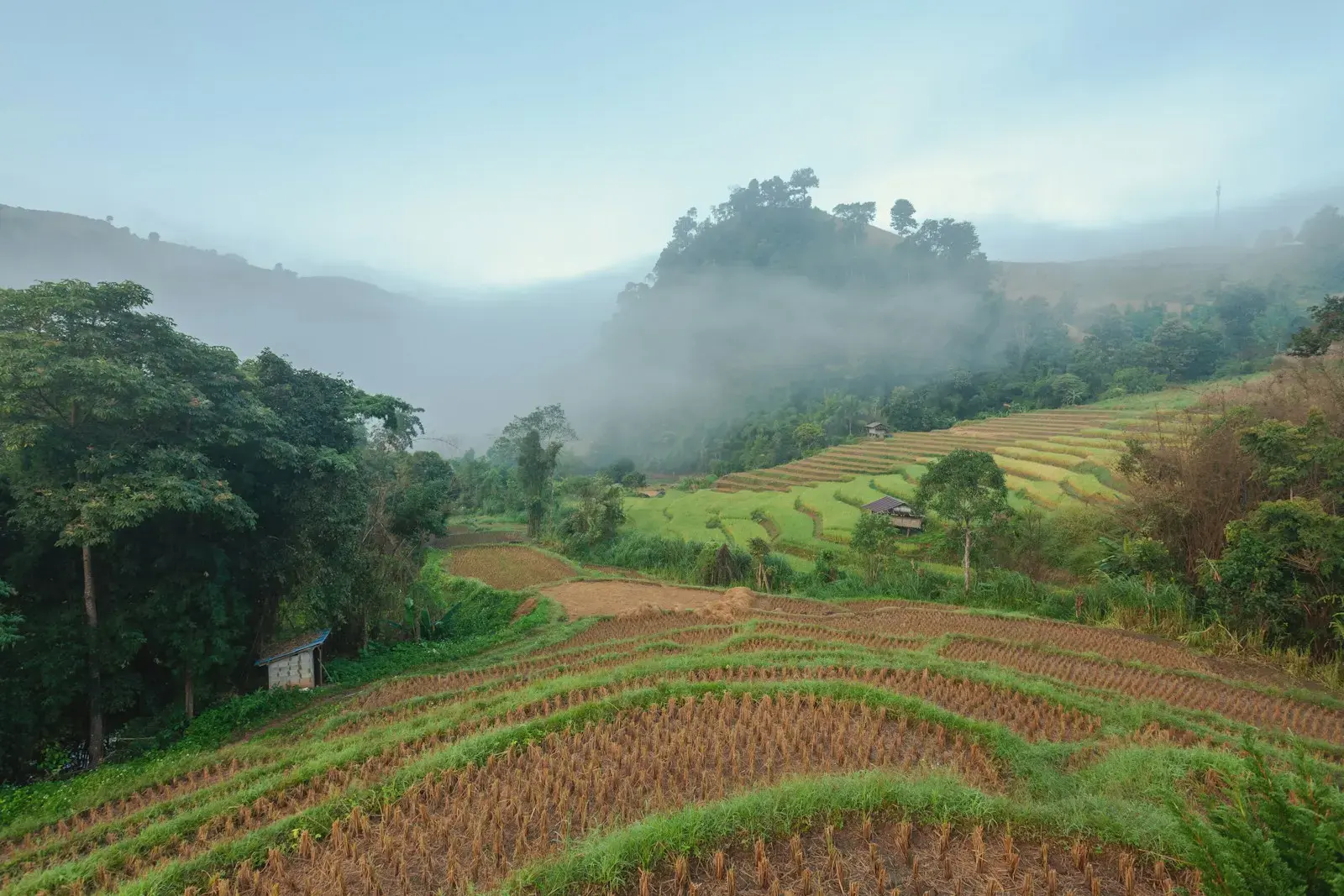 Photo by Rowan Heuvel Misty mountains with terraced rice fields.