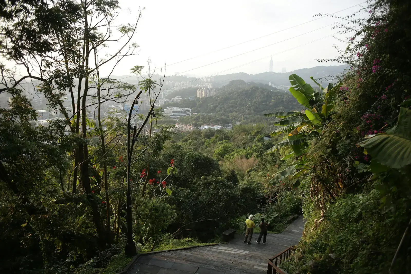 Two cyclists on a path overlooking a green valley.