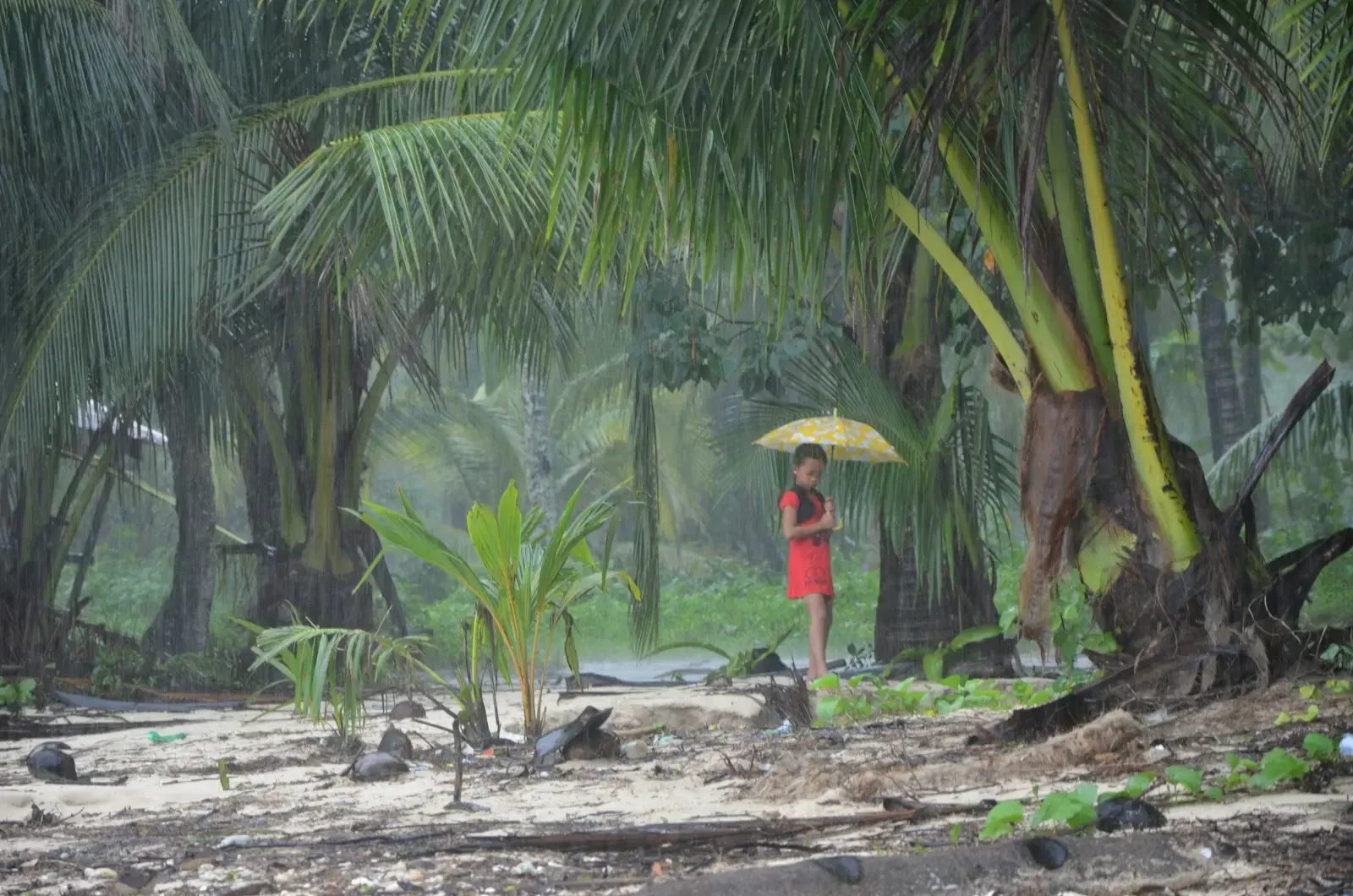 A person with an umbrella standing in a forest