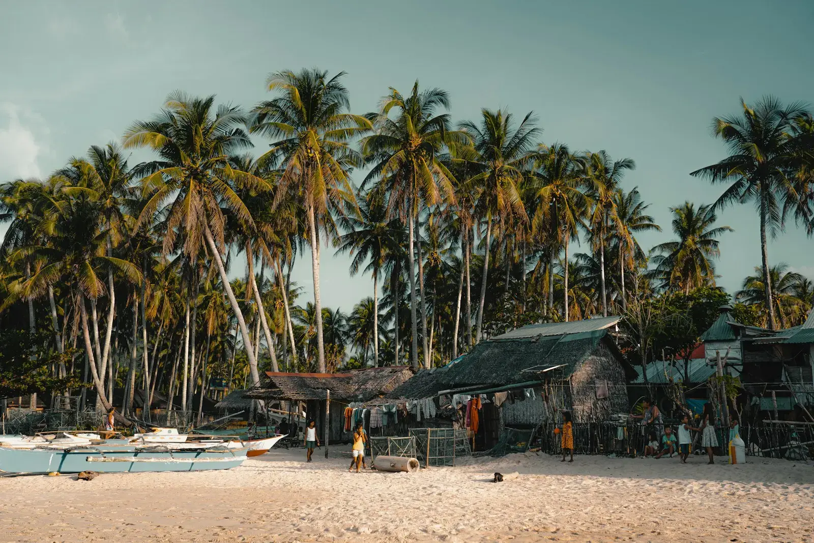 Tropical beach with palm trees and huts.