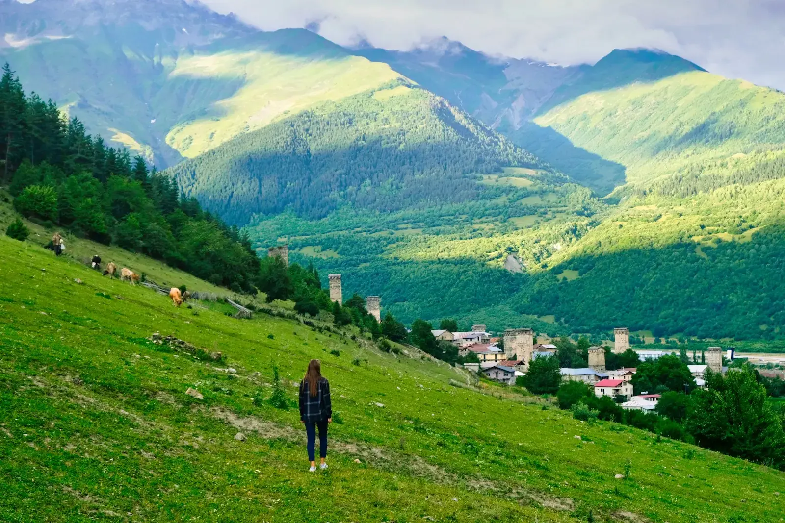 Photo by Etienne Dayer a person standing on a hill with cows grazing on it