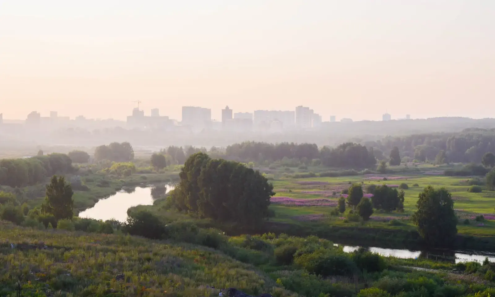 Photo by Danil Moiseev a landscape with trees and a body of water with buildings in the background