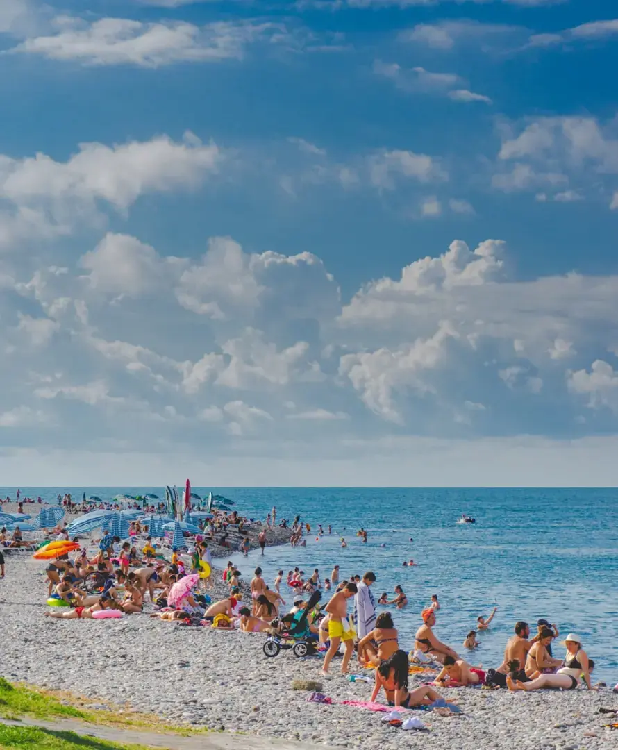 people on beach during daytime