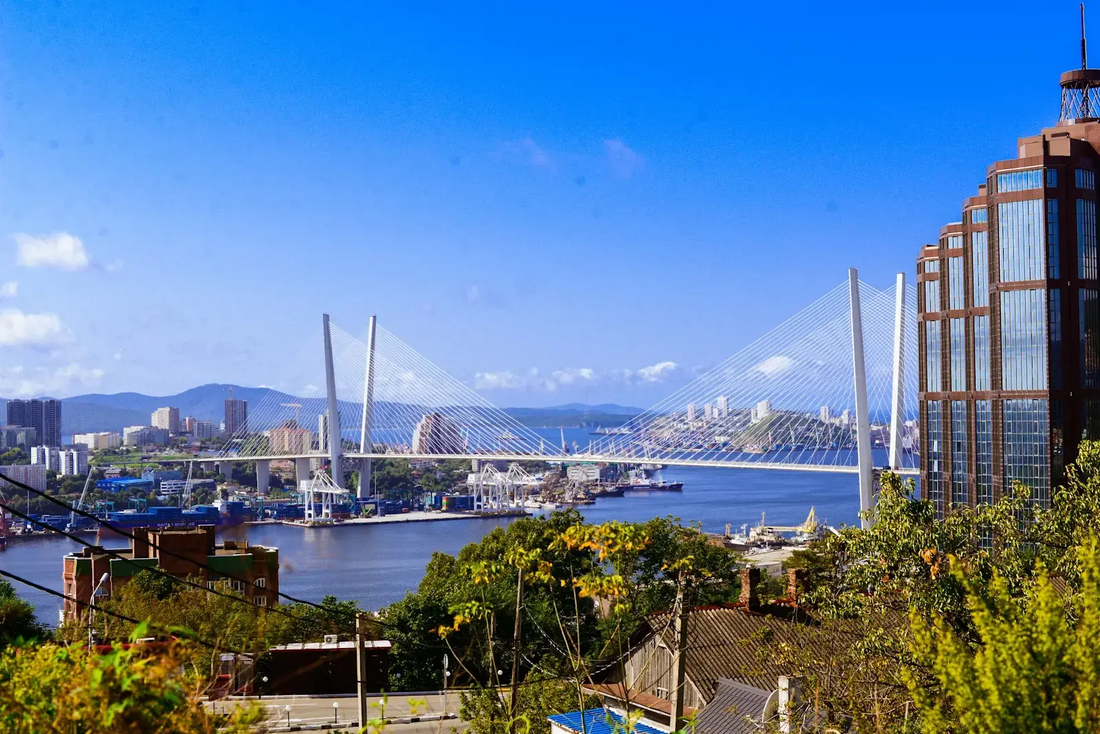 Photo by артишон артишонович Modern cable-stayed bridge over a bay with city skyline.