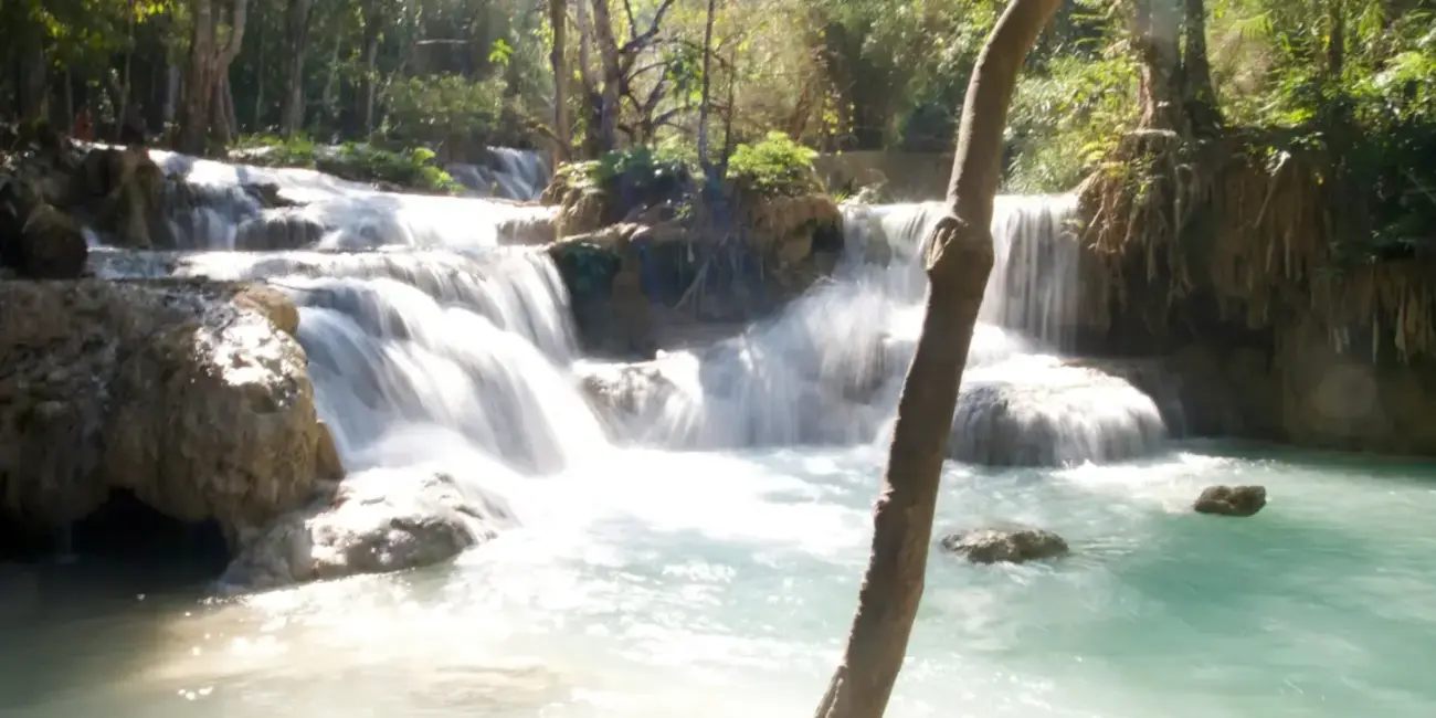 a small waterfall in the middle of a forest