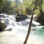 a small waterfall in the middle of a forest