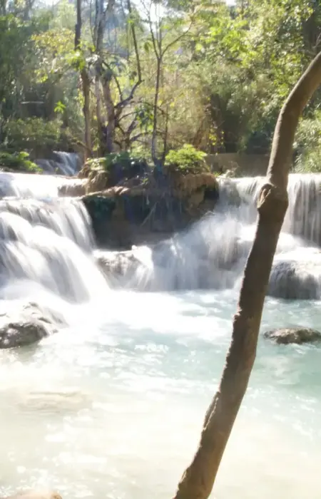 a small waterfall in the middle of a forest