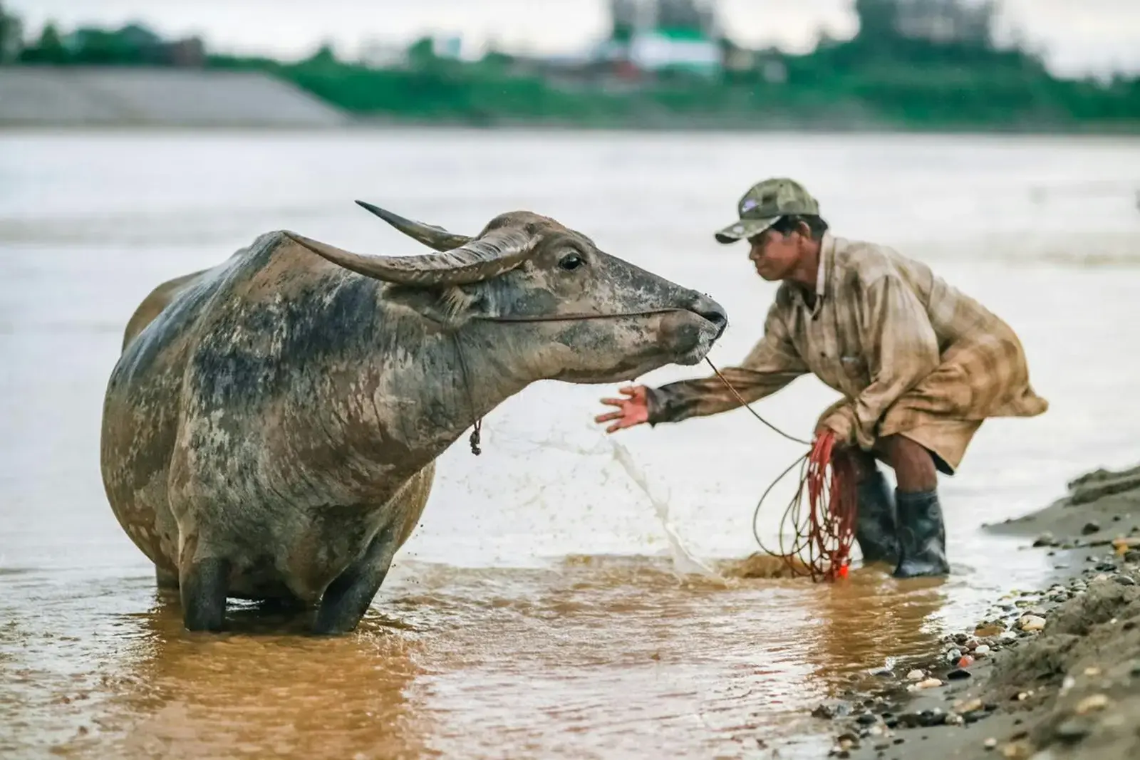 Photo by Life on the road man in brown jacket and pants riding black water buffalo