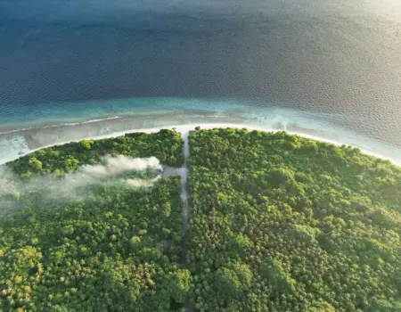 An aerial view of a tropical island in the ocean