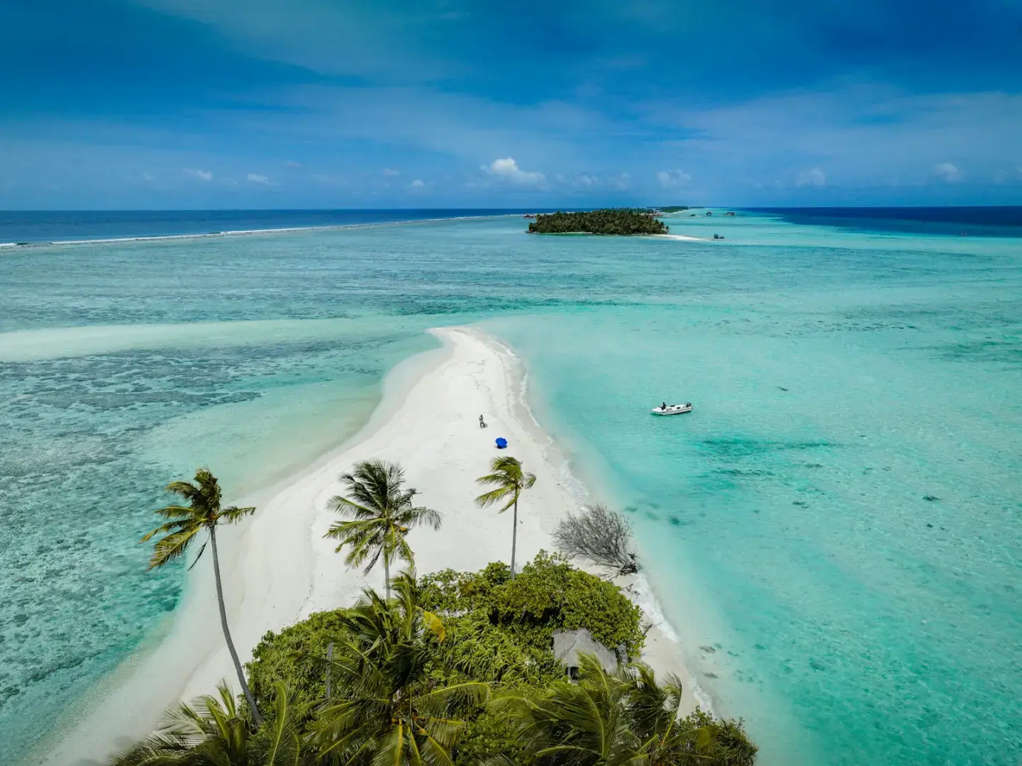 Tropical white sandbar with palm trees in turquoise ocean