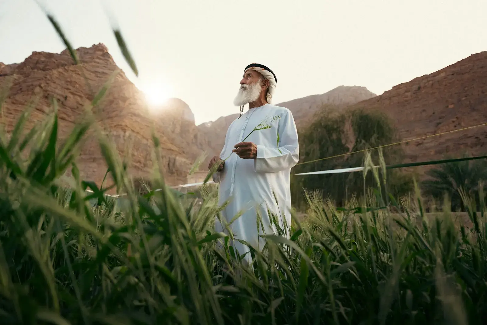An old man stands in a field.