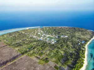Aerial view of a tropical island with lush vegetation and ocean