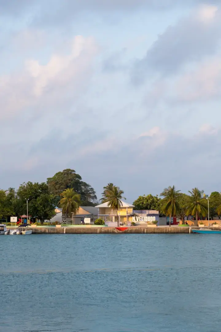 Tropical buildings with palm trees by the water